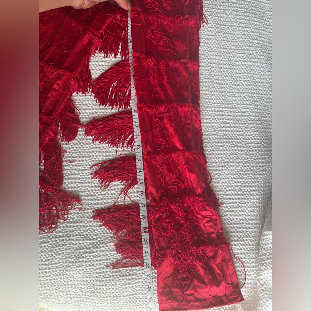 Weissman Red Fringe Latin Dance Set (Child Medium) - Picture 5 of 7